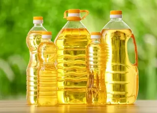 Стало відомо, скільки Україна втратить валютної виручки від зупинок експорту соняшникової олії