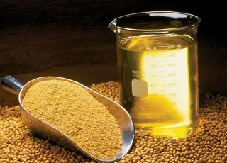 Експорт соєвої олії з України зріс на 36%, поки відвантаження бобів падає