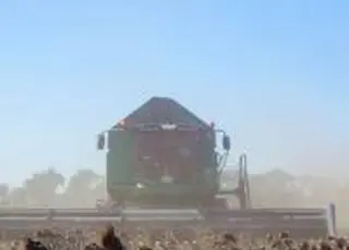 Tekom Agro Group: погодні аномалії призвели до критичного падіння врожайності соняшнику на півдні
