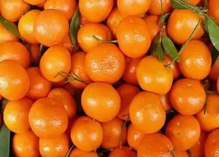 Світовий ринок мандаринів переживає коливання через погоду, імпорт і новий експортний сезон