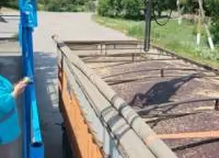 На елеватори Tekom Agro Group надійшов ріпак нового врожаю