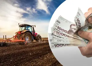 Кредити до 90 млн і безкоштовне розмінування: що отримають аграрії у 2026 році