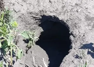 На полях Херсонщини після зникнення Каховського водосховища виникають карстові провалля