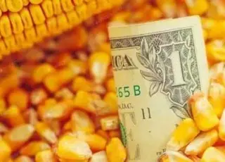 Український експорт зернових скоротився на понад 23% у 2024/2025 МР