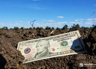 Середня ціна одного гектара землі з моменту запуску ринку зросла на 96%