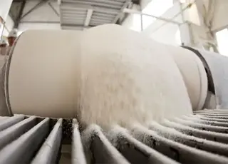 На Вінниччині ситуація з сировиною для цукрозаводів залишається складною