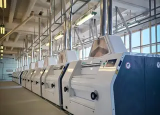 ALVIVA GROUP оголошує результати роботи борошномельного напряму за 2025 рік