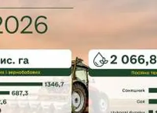 Аграрії засіяли понад 2,6 млн га ярих зернових та зернобобових культур