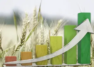 Україна наростила експорт агропродукції на 11%