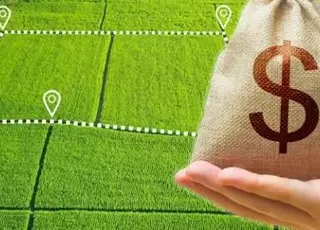 Правила купівлі-продажу сільськогосподарської землі: ключові етапи та документи