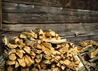 Стало відомо, чи може виникнути дефіцит дров в Україні