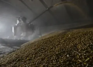 росії вдалося значно скоротити експорт зерна з України