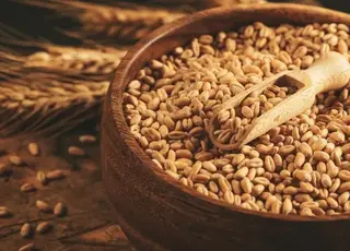 Єгипет вперше за 15 років придбав пшеницю з Казахстану через зміну імпортних стратегій