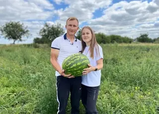 Волинянин вирощує понад 40 сортів кавунів на одному гектарі
