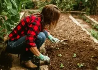 Що сіяти в червні: перелік культур для пізнього врожаю