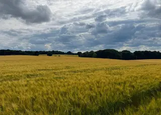 Чого очікувати господарству, безкоштовно зареєструвавшись на AgreenaGro