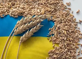 Туреччина нарощує імпорт української агропродукції
