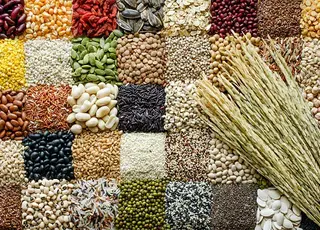 В Україні цьогоріч прогнозують зростання сільгоспвиробництва