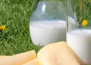 Україна наростила експорт молочних продуктів в травні
