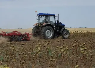 На Миколаївщині через заморозки та посуху загинули 100 тис га посівів