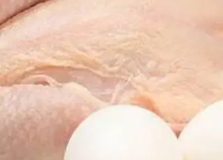 МХП і Avangardco підтвердили свої позиції найбільших компаній Європи на своєму ринку