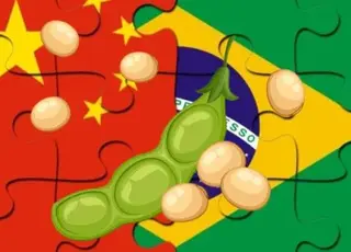 Китай у травні 2025 року значно збільшив імпорт сої з Бразилії