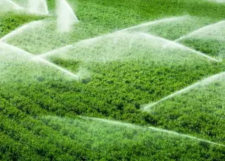 Японія поділиться з Україною новітніми розробками у сфері меліорації