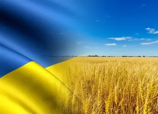 Оприлюднено аналіз ринку зернових і олійних культур в Україні за травень