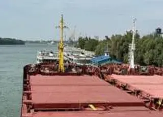 На Дунаї виставили на продаж морський зерновий термінал
