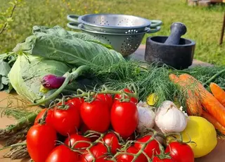 Одеські виробники розвивають овочевий бізнес завдяки широкому асортименту культур