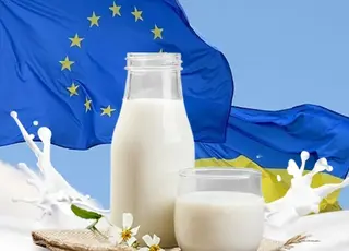 Україна наближається до зупинки експорту молокопродуктів до ЄС