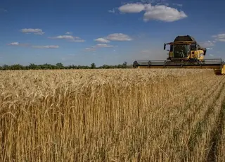 Українські аграрії завершують сезон зі значними обсягами збору зернових та олійних