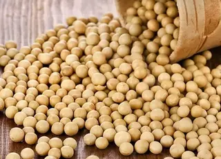 Світовий ринок сої залишається під ведмежим тиском