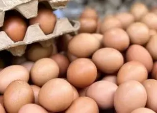 Україна стала лідером з експорту курячих яєць до Великої Британії у 2025 році