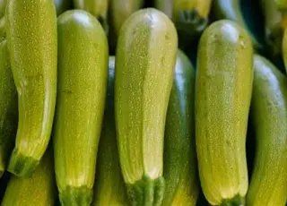 Чому жовтіють і не ростуть кабачки: основні причини та ефективні методи догляду