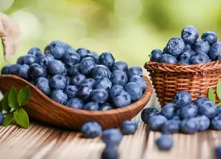 Українські виробники лохини посилюють вихід на преміальні ринки ЄС