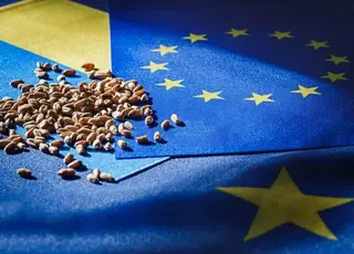 ЄС припинив торговий безвіз для української агропродукції: що зміниться для експортерів