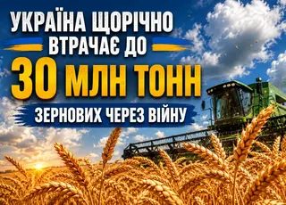 Україна щорічно втрачає до 30 млн тонн зернових через війну