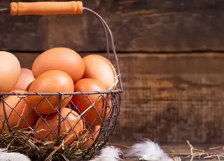 Стало відомо, як в Україні змінилися ціни на яйця в Україні