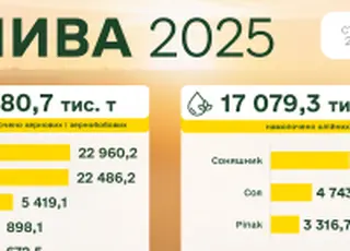 Україна завершує жнива 2025: результати за 2025 рік та прогнози на 2026