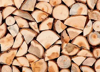 “Ліси України” на аукціонах на І кв.-2026 реалізували майже всю лісопродукцію