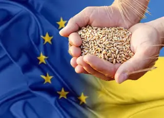 ЄС запровадив квоти на українське зерно: реакція фермерів та наслідки для ринку