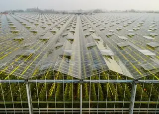 На Вінниччині завдяки держгрантам збудували теплиці на 13,3 га