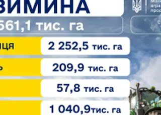 Посівна озимих культур: засіяно понад 2,5 млн гектарів
