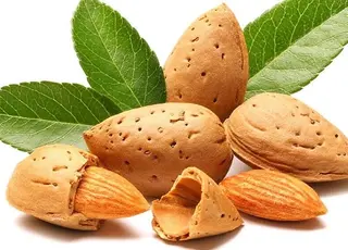 Сім областей України можуть отримати гранти на створення мигдалевих садів