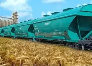 Вартість оренди зерновозів Укрзалізниці перевищила 2 тис/добу