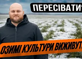 Як підняти рентабельність господарства до 20%