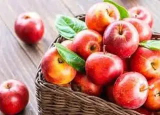 Стало відомо, яким у 2026 році в Україні буде Яким у 2026 році в Україні буде сезон яблук