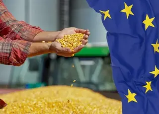 ЄС і Україна домовилися про нові умови імпорту агропродукції