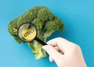 В Україні планують запустити Державний реєстр ГМО